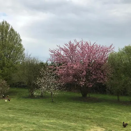 Le Pain Perdu De Germaine Ferienhaus *