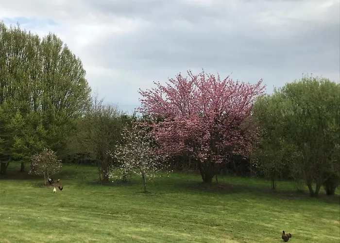 Le Pain Perdu De Germaine בית נופש *